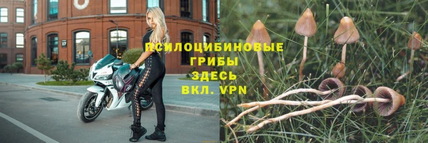 амф Богородицк