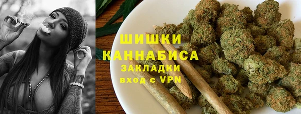 амф Богородицк