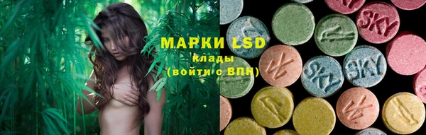ешки Богданович