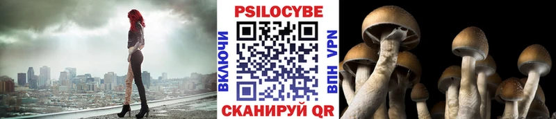 blacksprut зеркало  Сковородино  Галлюциногенные грибы Magic Shrooms  продажа наркотиков 