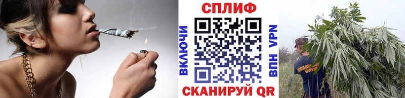 блэк спрут ССЫЛКА  наркота  Сковородино  Шишки марихуана план 